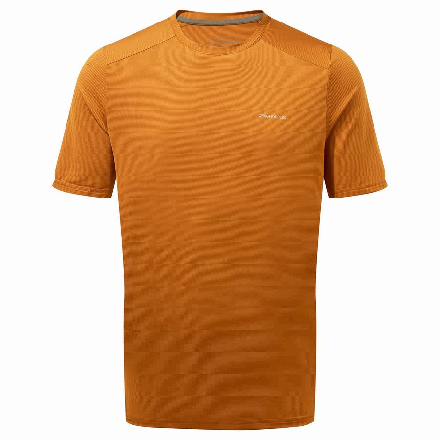 T Shirts Craghoppers Belardo Corta Sleeved Orange Homme | PQA-0329396