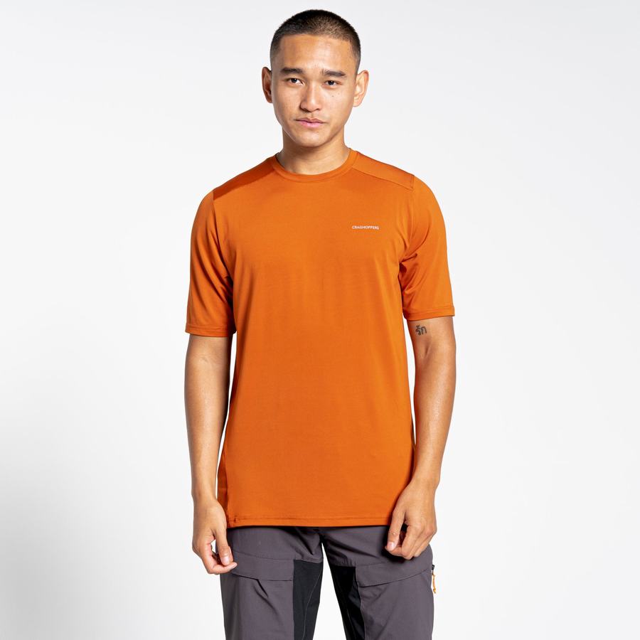 T Shirts Craghoppers Belardo Corta Sleeved Orange Homme | PQA-0329396