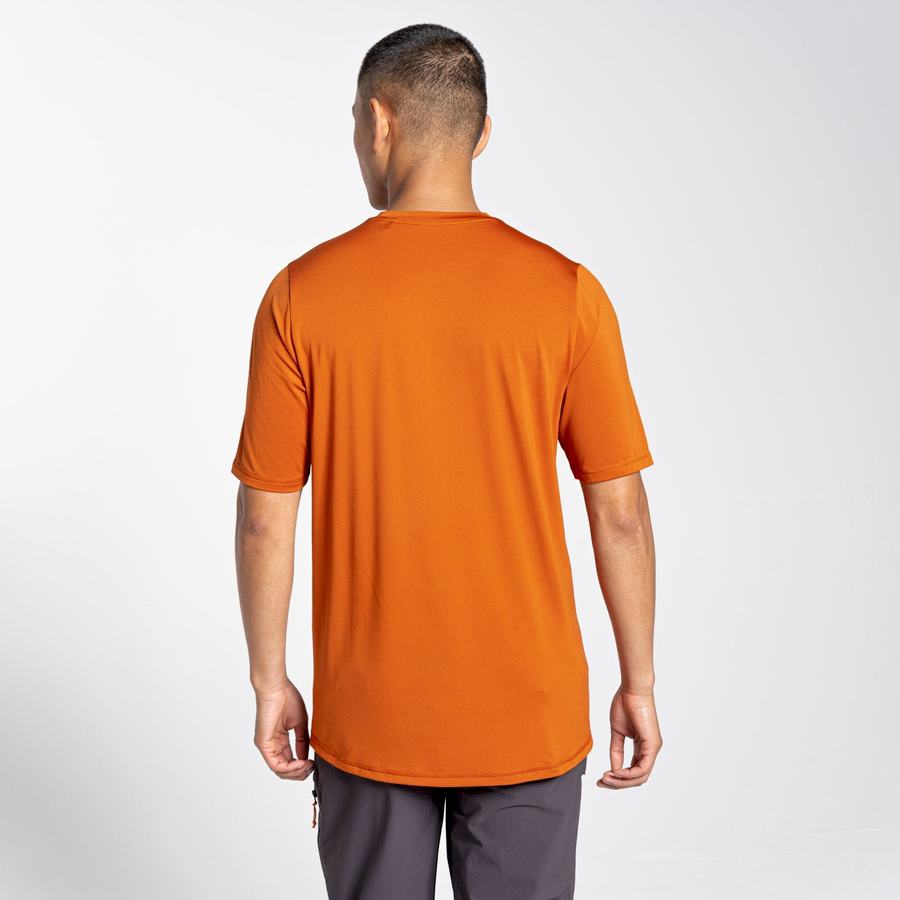 T Shirts Craghoppers Belardo Corta Sleeved Orange Homme | PQA-0329396