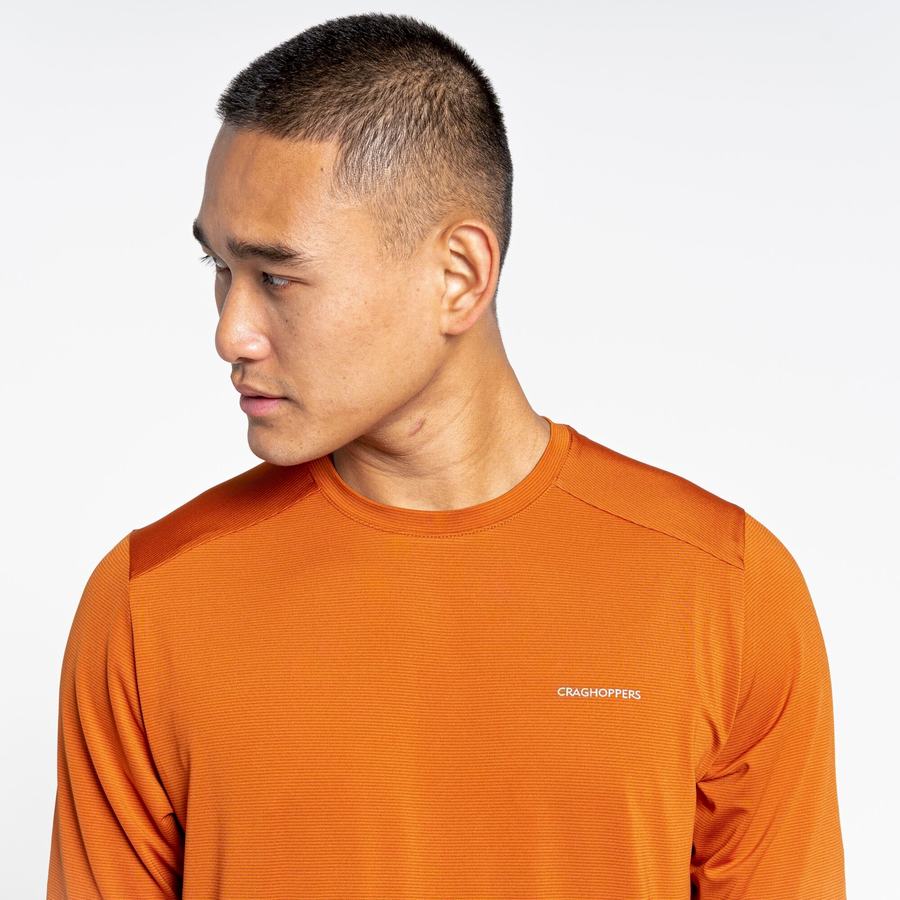 T Shirts Craghoppers Belardo Corta Sleeved Orange Homme | PQA-0329396