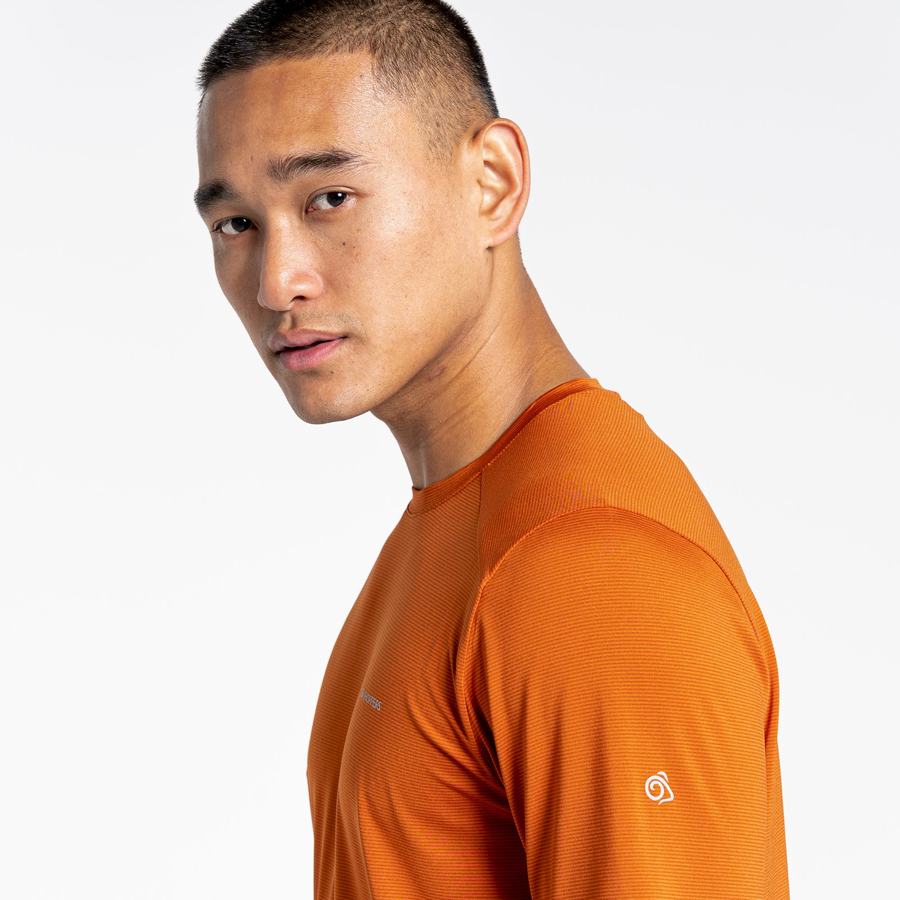 T Shirts Craghoppers Belardo Corta Sleeved Orange Homme | PQA-0329396