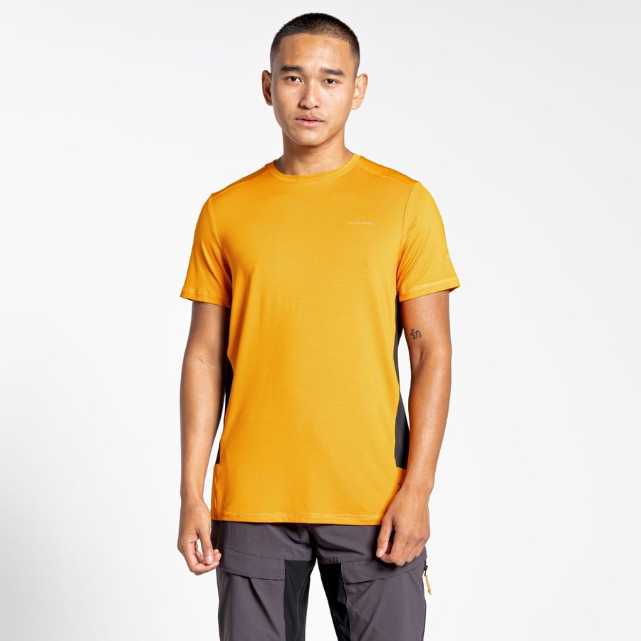 T Shirts Craghoppers Atmos Corta Sleeved Orange Homme | SBP-1656628