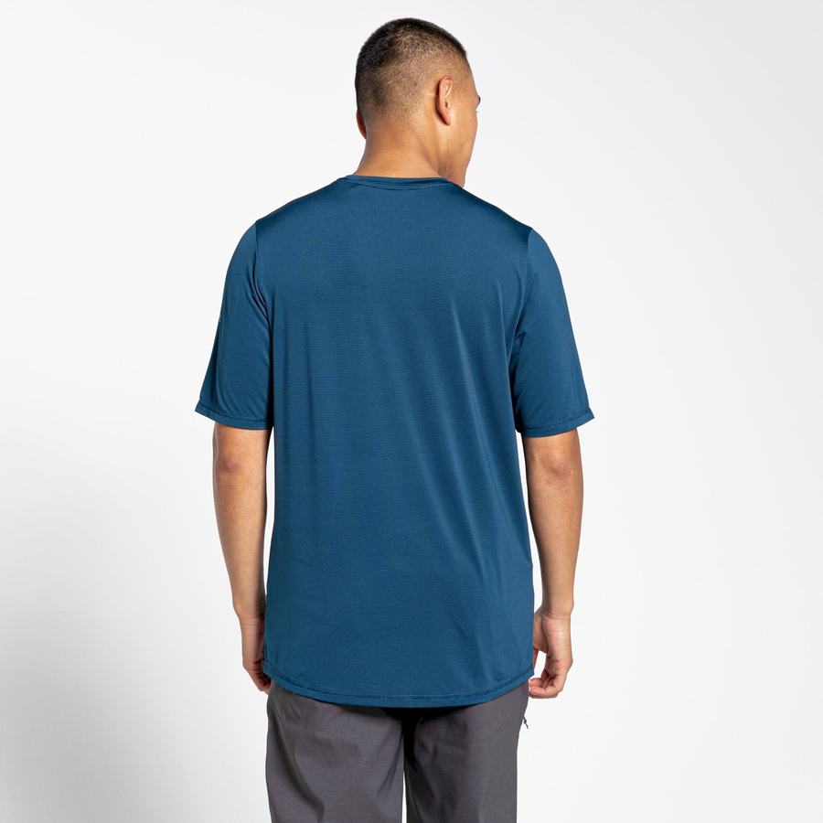 T Shirts Craghoppers Belardo Corta Sleeved Bleu Marine Bleu Homme | XOI-7139708