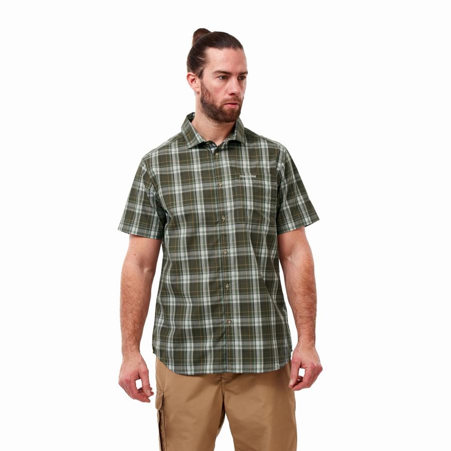 Chemises Craghoppers Vernon Corta Sleeved Vert Homme | GRI-3472933