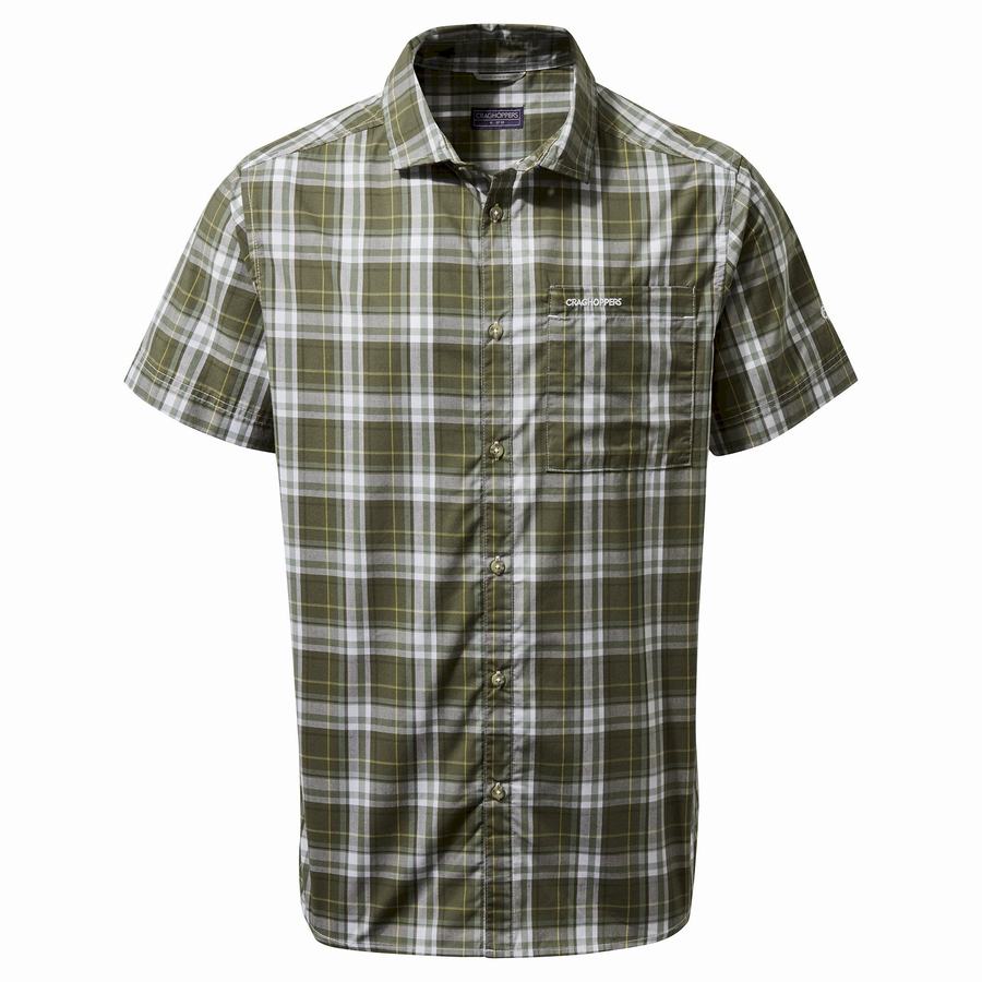 Chemises Craghoppers Vernon Corta Sleeved Vert Homme | GRI-3472933