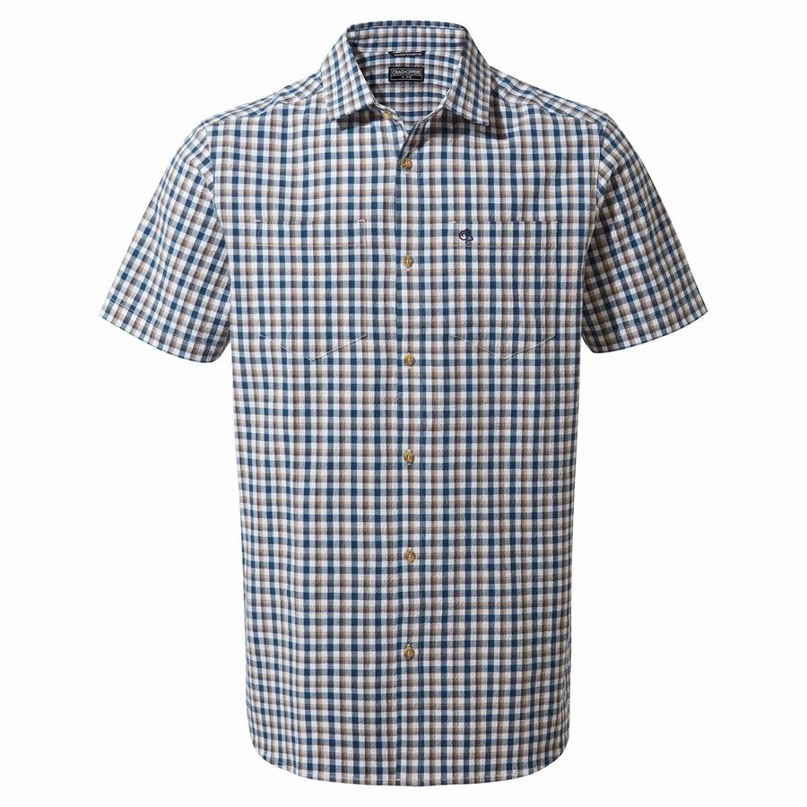 Chemises Craghoppers Nour Corta Sleeved Check Bleu Bleu Marine Homme | JZP-3407082