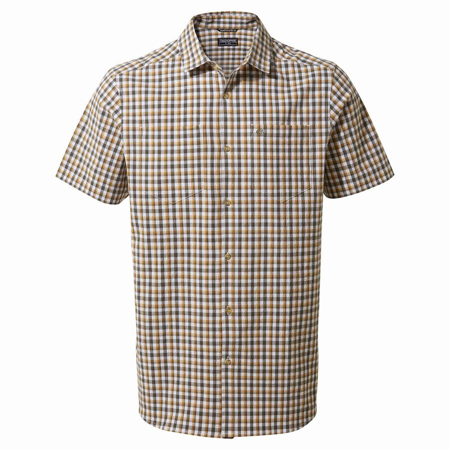 Chemises Craghoppers Nour Corta Sleeved Check Vert Homme | XVO-6144010