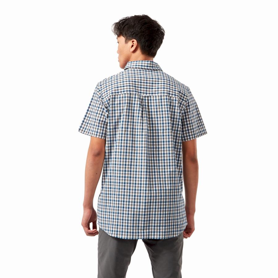 Chemises Craghoppers Nour Corta Sleeved Check Bleu Bleu Marine Homme | JZP-3407082