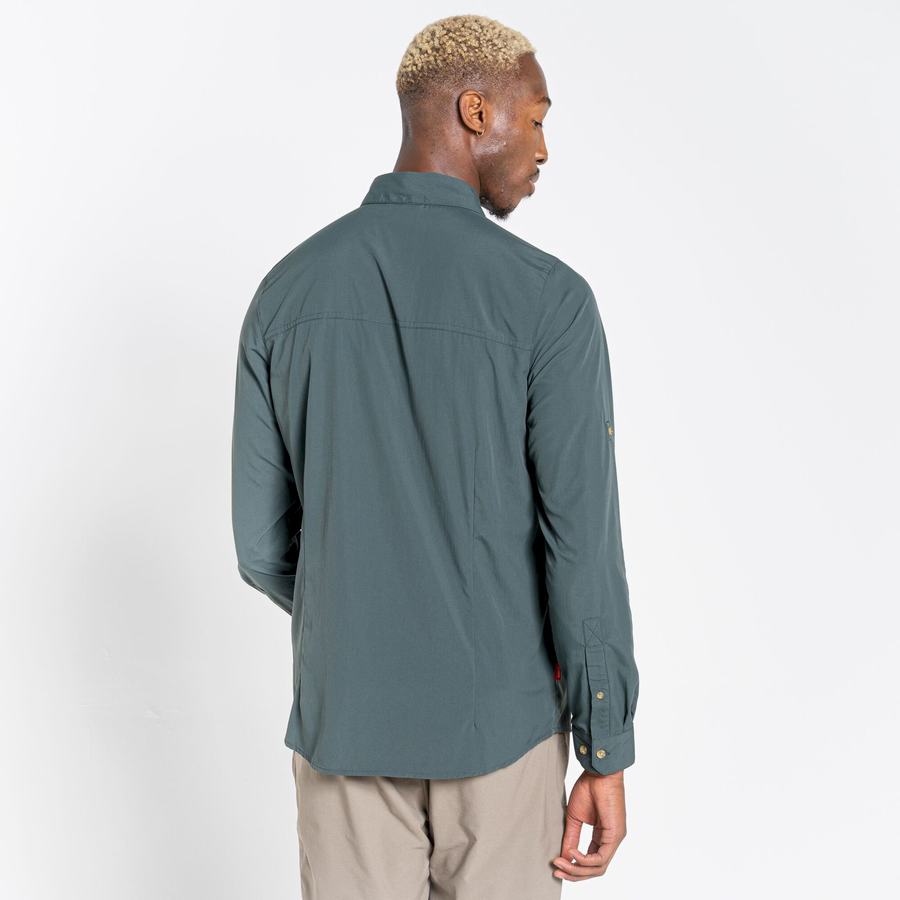 Chemises Craghoppers NosiLife Nuoro Long Sleeved Vert Homme | EAL-8511218