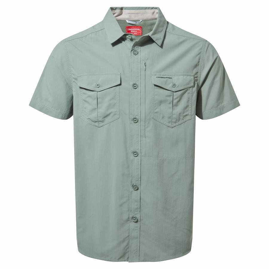 Chemises Craghoppers NosiLife Adventure II Corta Sleeved Vert Olive Homme | WKW-9316184