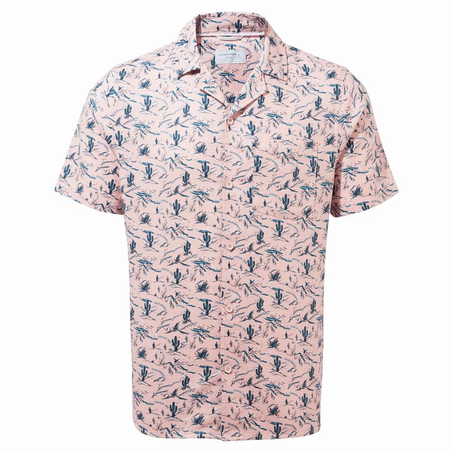 Chemises Craghoppers Nosibotanical Hula Corta Sleeved Rose Homme | LHU-5444473