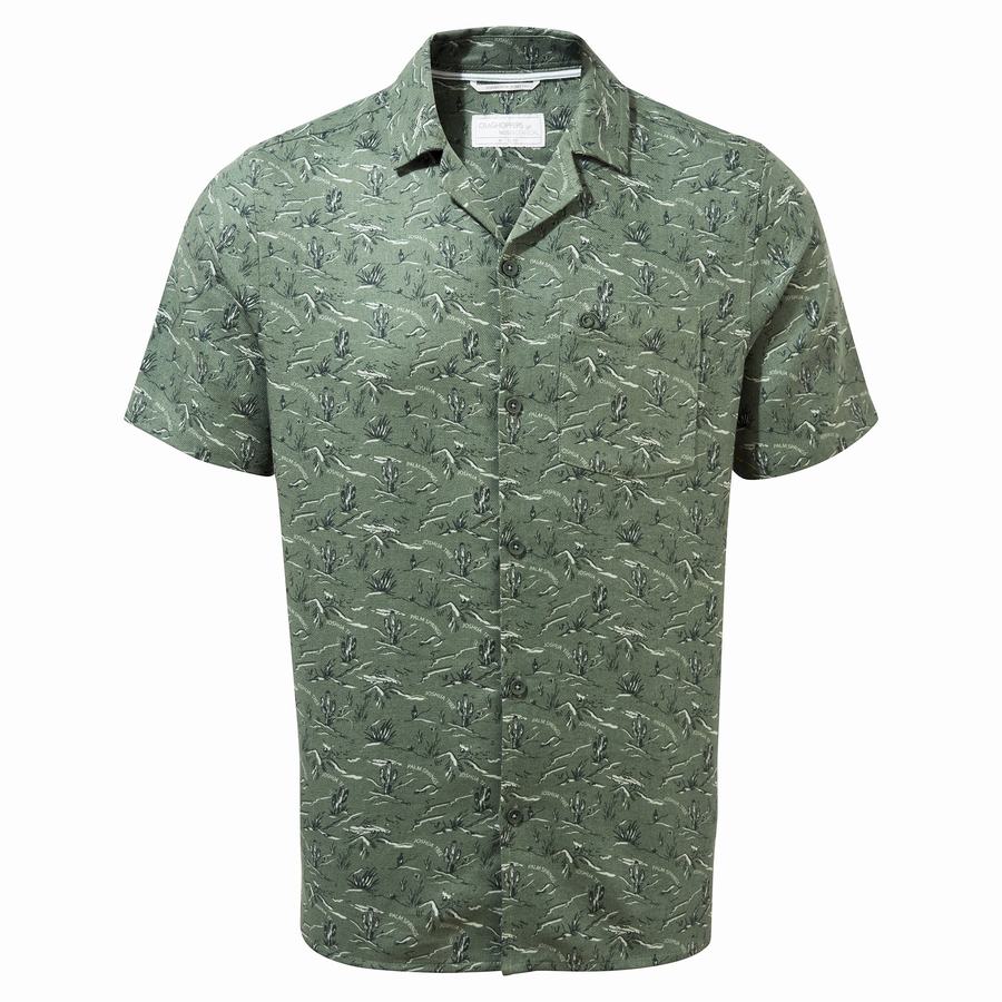 Chemises Craghoppers Nosibotanical Hula Corta Sleeved Vert Homme | OTQ-6683755