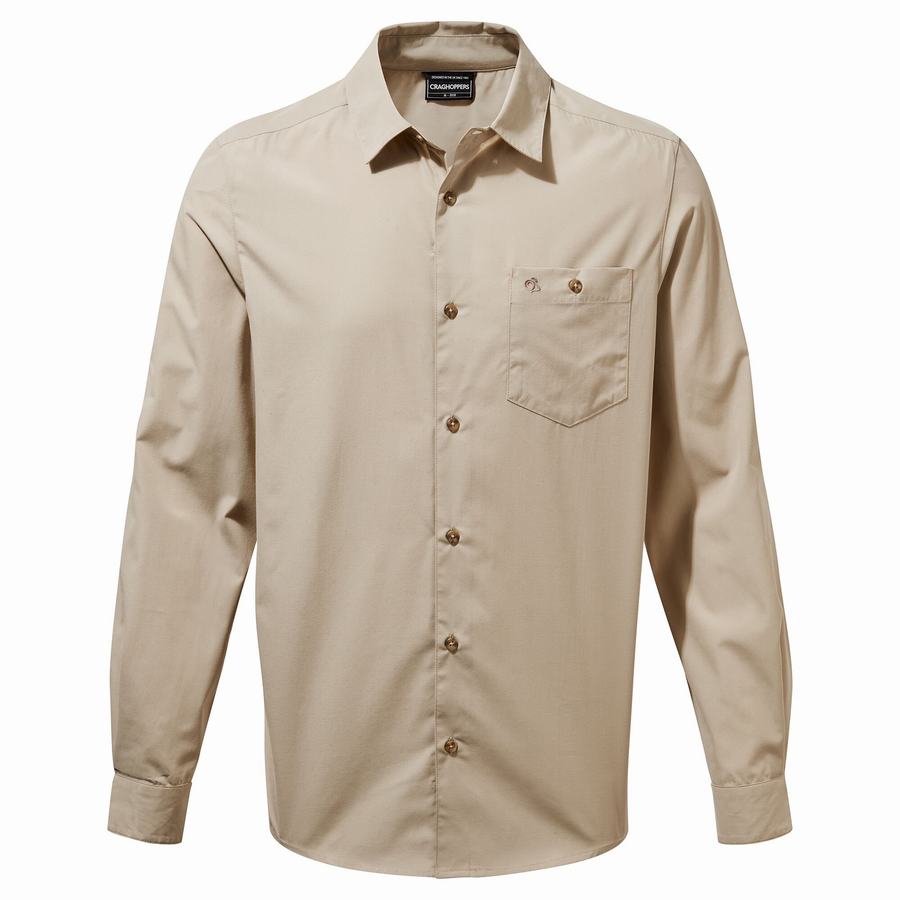 Chemises Craghoppers Kiwi Ridge Long Sleeved Beige Homme | BTS-4279491