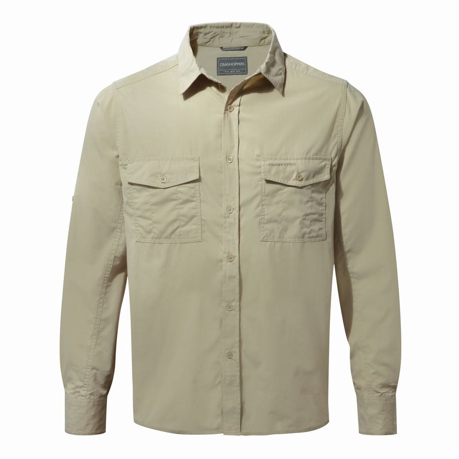 Chemises Craghoppers Kiwi Long Sleeved Beige Homme | VDA-3410212