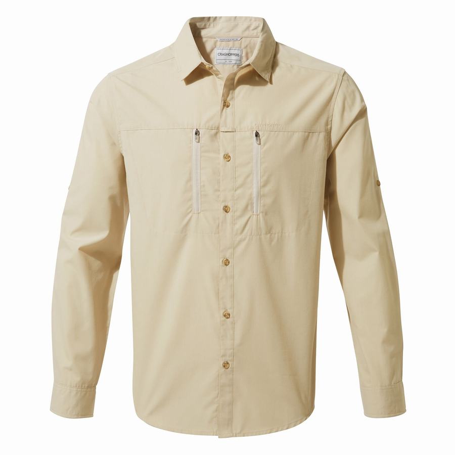 Chemises Craghoppers Kiwi Boulder Long-Sleeved Beige Homme | FGF-3828623