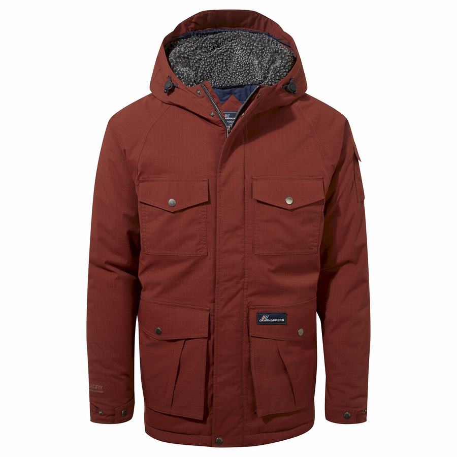 Vestes Craghoppers Waverley Thermic Rouge Homme | DIZ-3015566