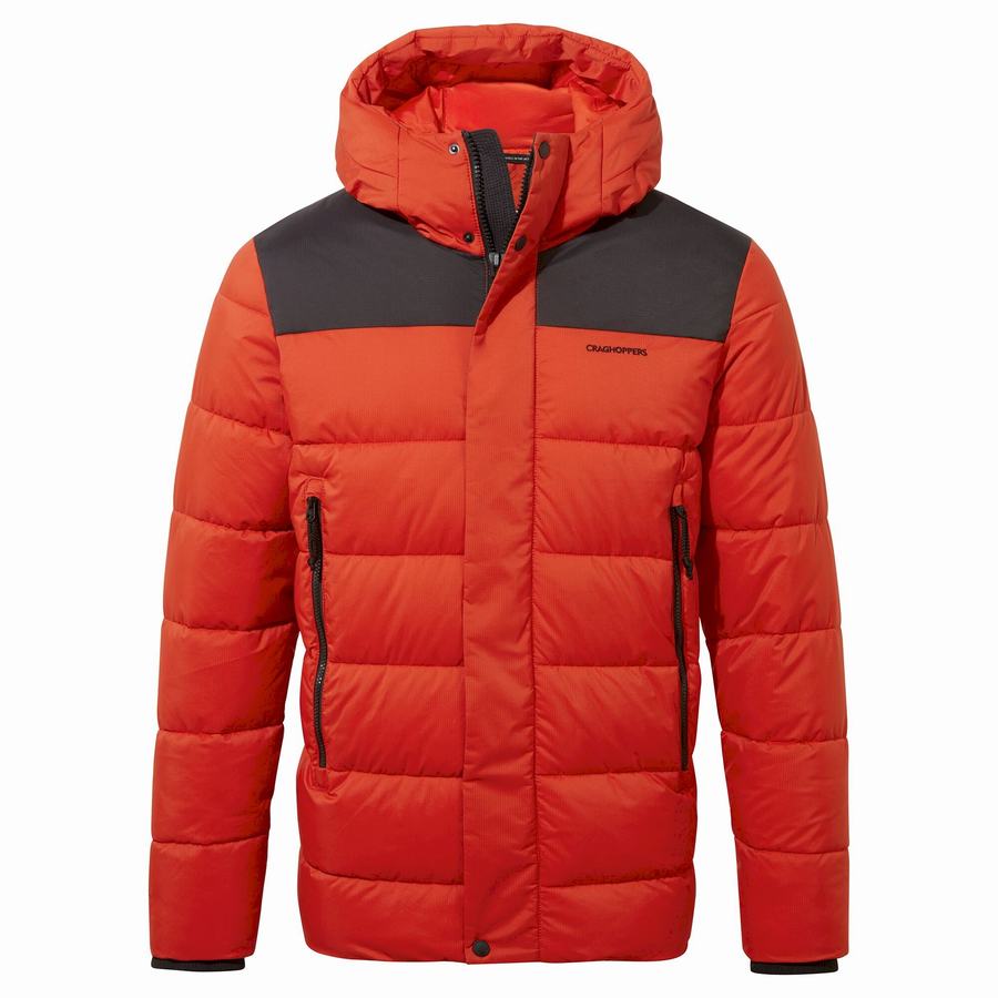 Vestes Craghoppers Sutherland Insulated Encapuchonné Rouge Noir Homme | AHY-0035917