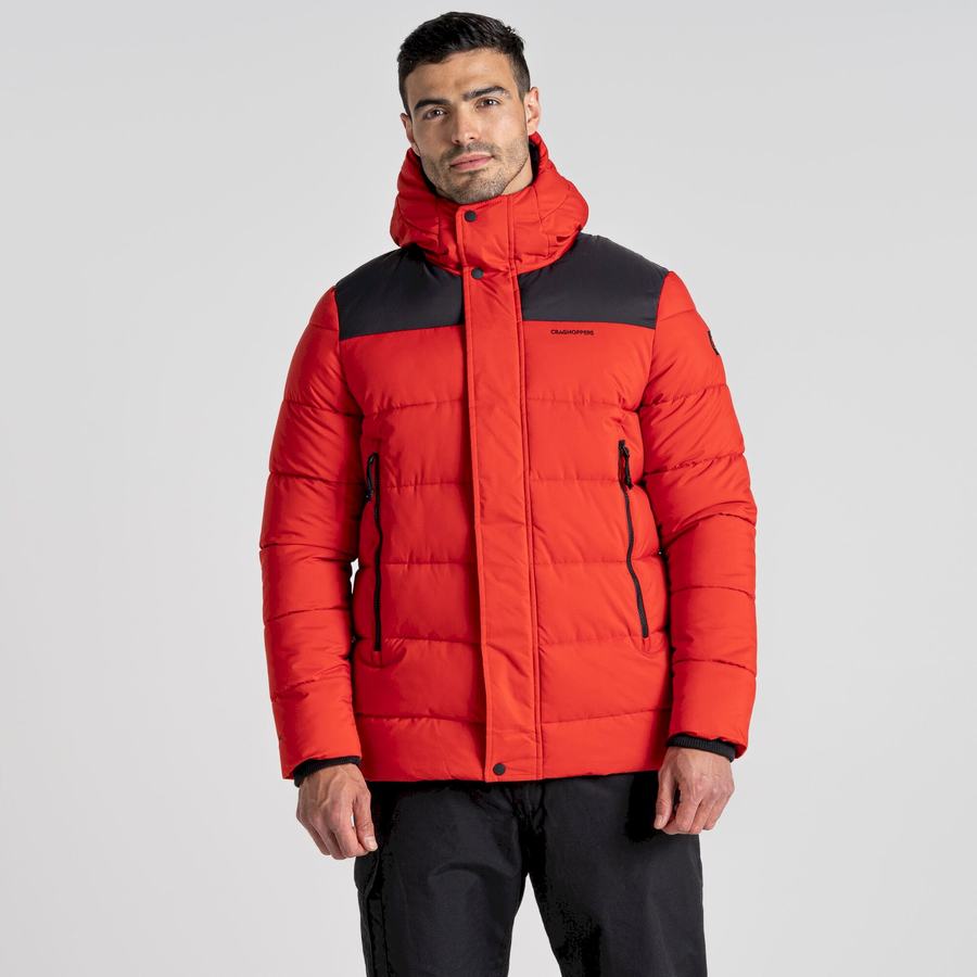 Vestes Craghoppers Sutherland Insulated Encapuchonné Rouge Noir Homme | AHY-0035917