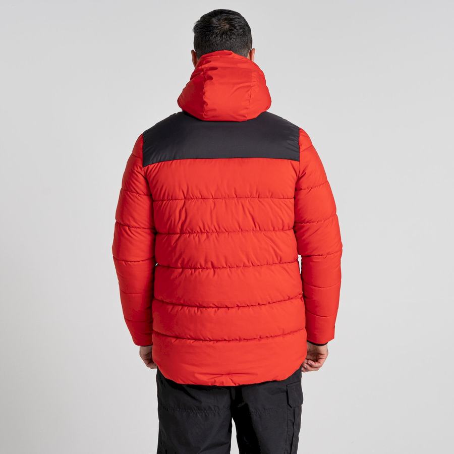 Vestes Craghoppers Sutherland Insulated Encapuchonné Rouge Noir Homme | AHY-0035917