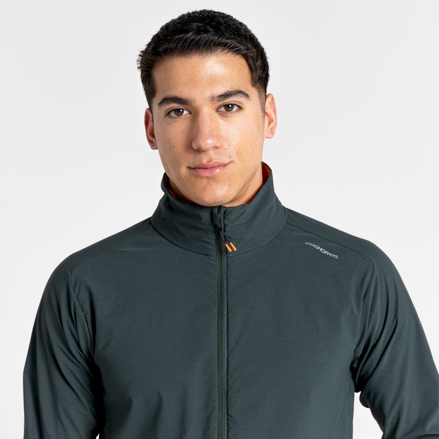 Vestes Craghoppers NosiLife Active Vert Homme | CDM-0812483