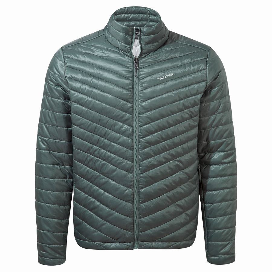 Vestes Craghoppers Lorton Pro 3 in 1 Grise Marron Homme | YLX-4165895