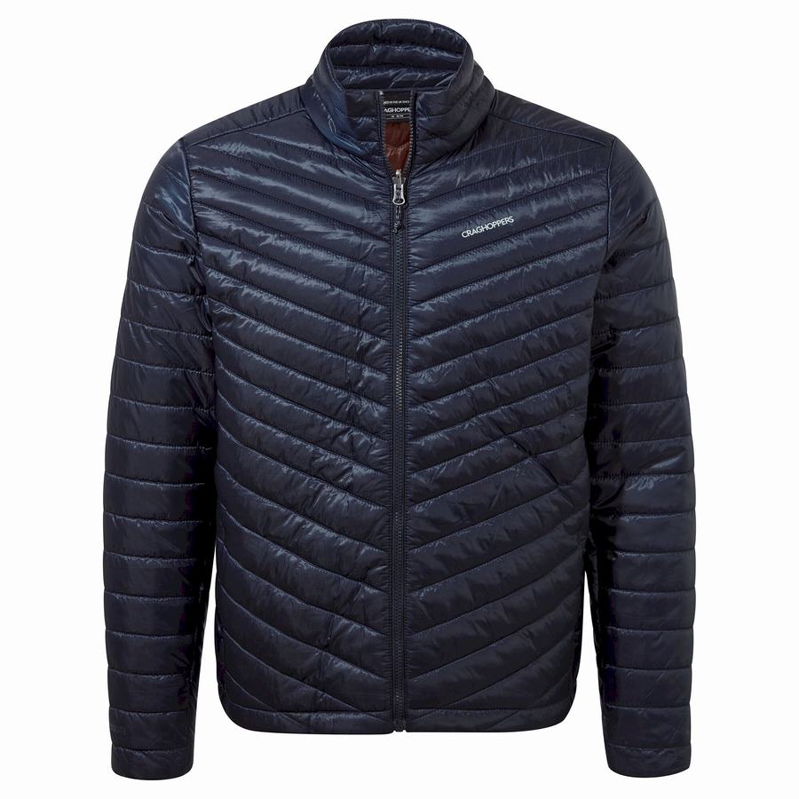 Vestes Craghoppers Lorton Pro 3 in 1 Bleu Bleu Marine Homme | ABA-8574462