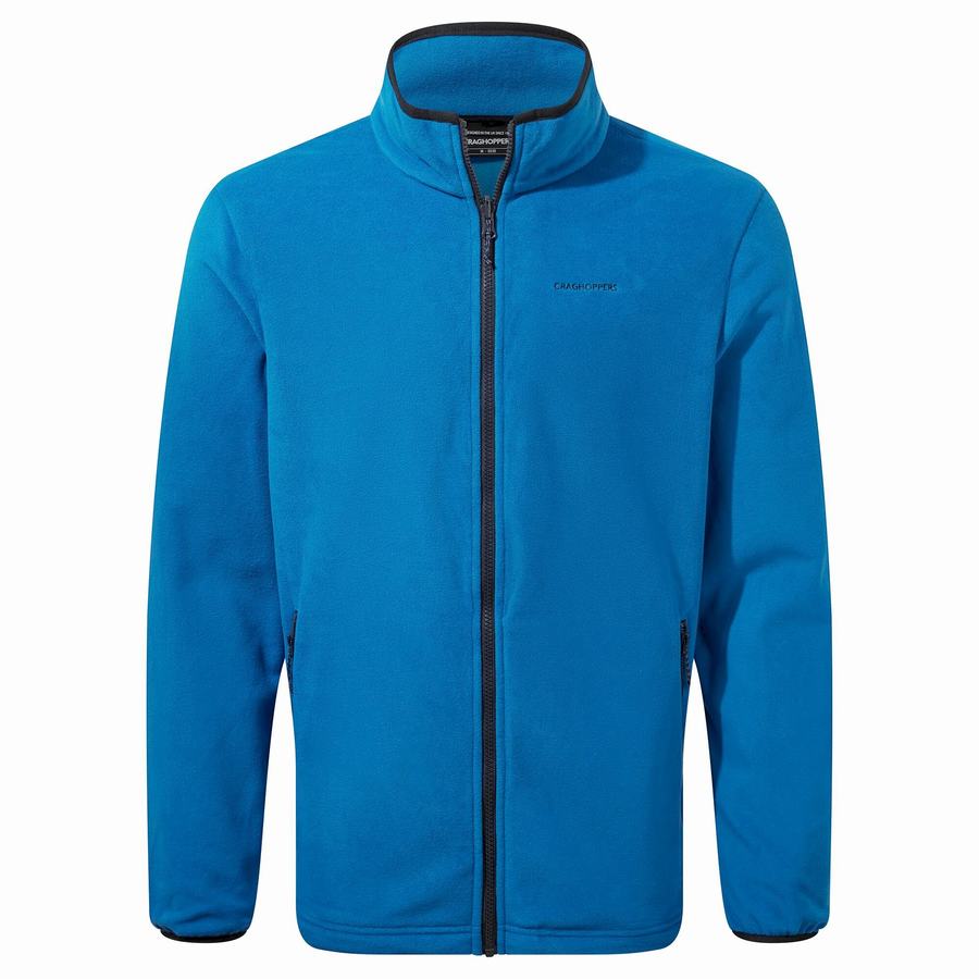 Vestes Craghoppers Lorton 3 In 1 Bleu Marine Bleu Homme | OHE-2514664