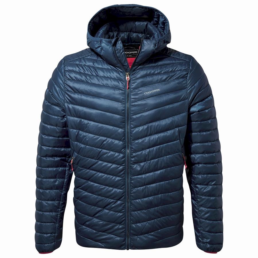 Vestes Craghoppers Insulated ExpoLite Encapuchonné Bleu Marine Bleu Homme | GLV-0543391