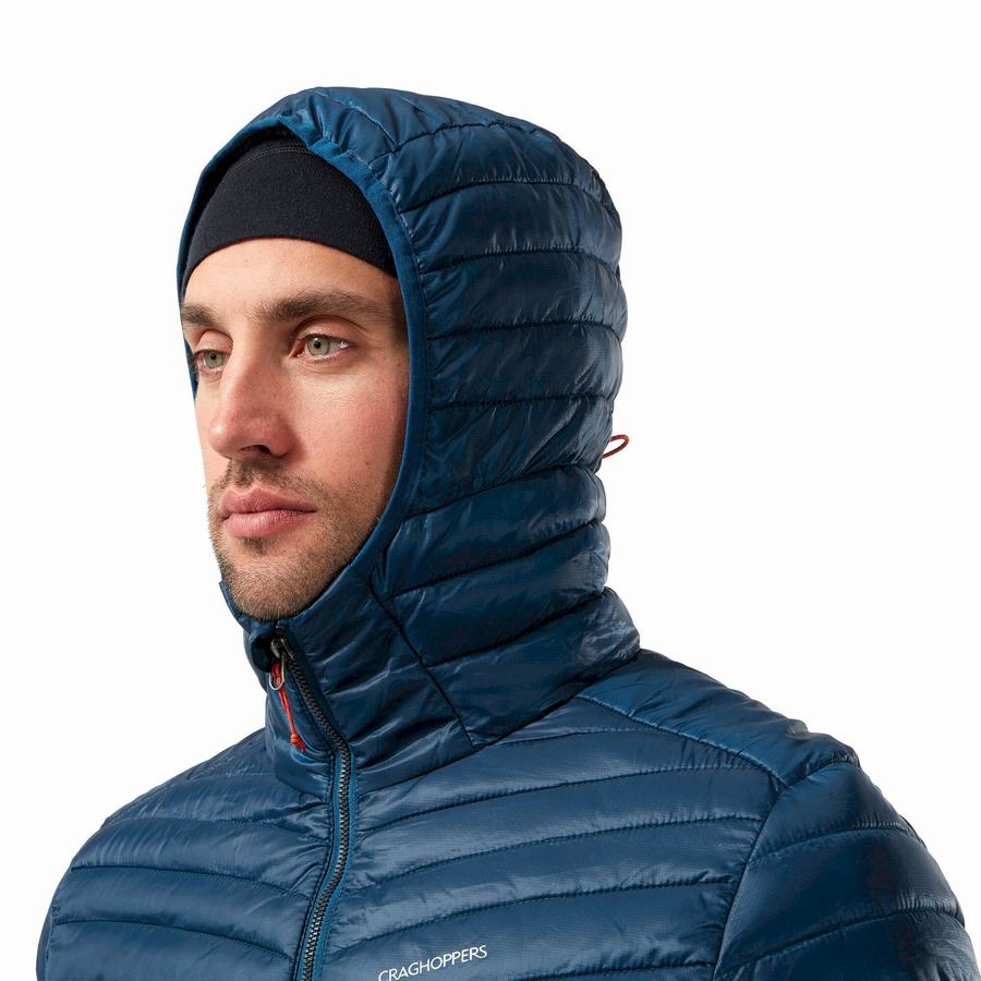 Vestes Craghoppers Insulated ExpoLite Encapuchonné Bleu Marine Bleu Homme | GLV-0543391