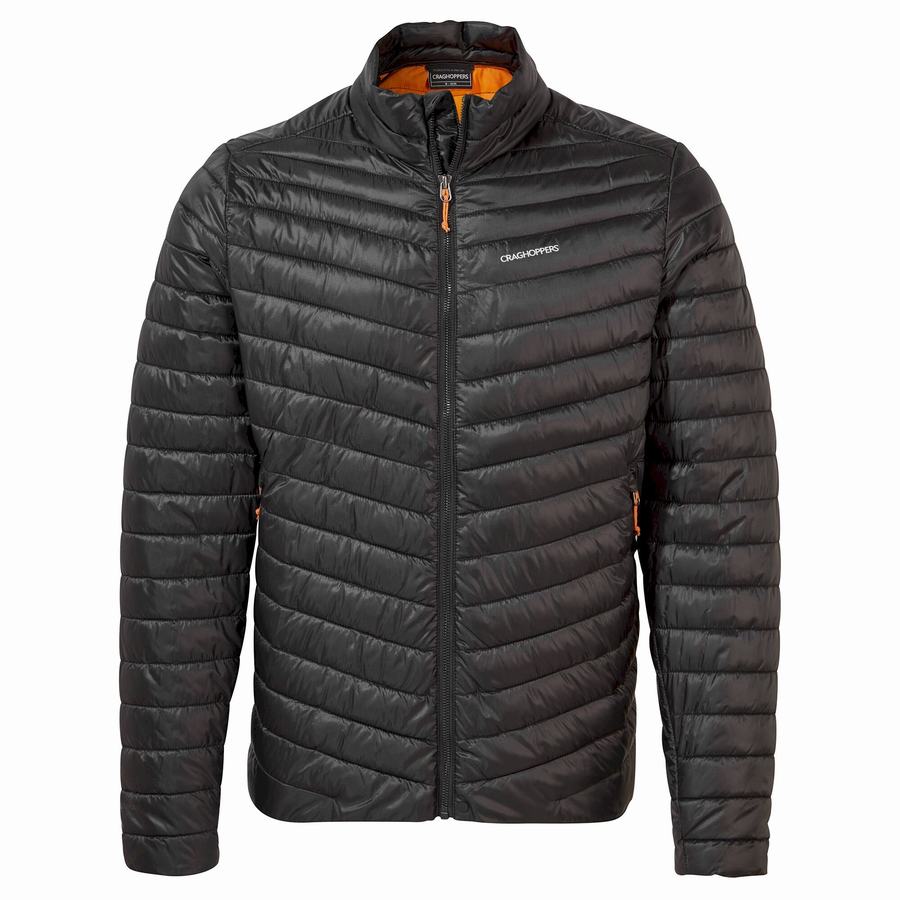 Vestes Craghoppers Insulated ExpoLite Noir Orange Homme | HFZ-3121070