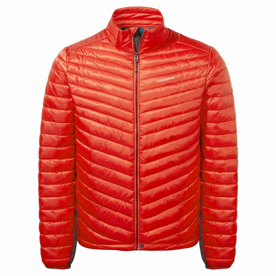 Vestes Craghoppers ExpoLite Insulated Rouge Homme | GKL-2928911