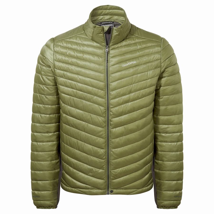 Vestes Craghoppers ExpoLite Insulated Vert Olive Vert Homme | FGT-2200617