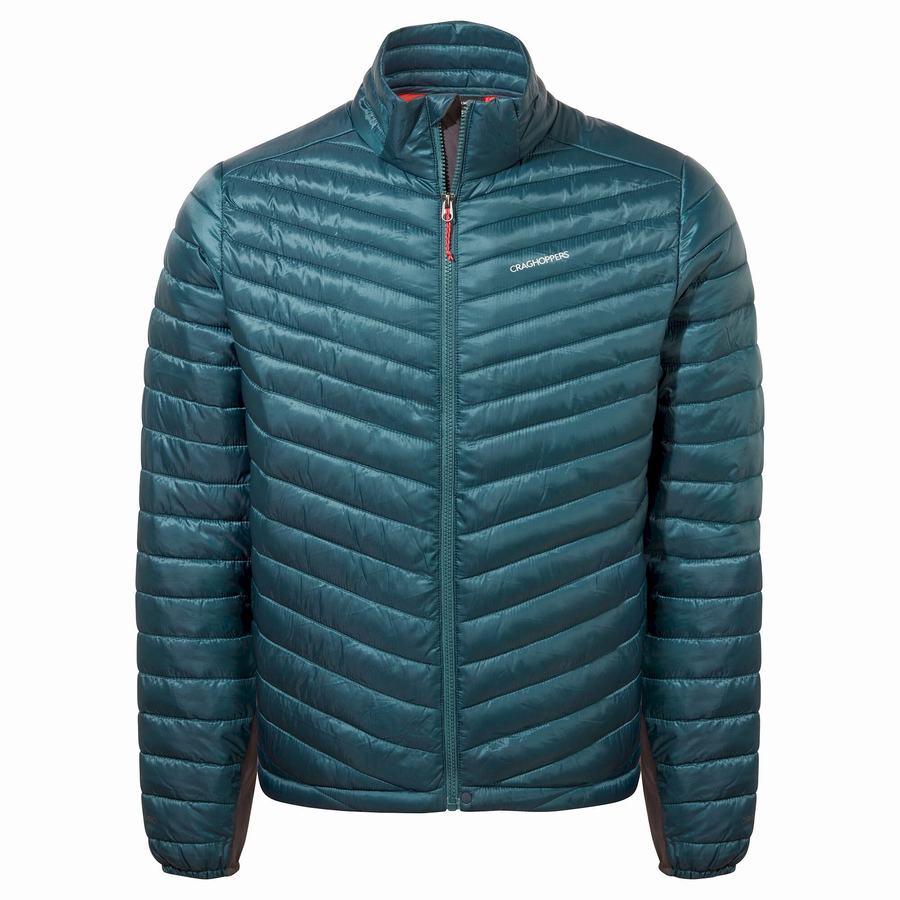 Vestes Craghoppers ExpoLite Insulated Bleu Foncé Homme | OUJ-3872416