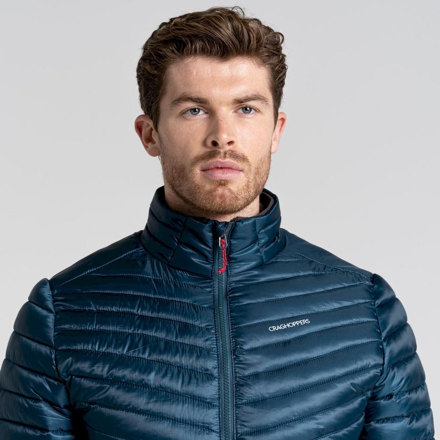 Vestes Craghoppers ExpoLite Insulated Bleu Foncé Homme | OUJ-3872416