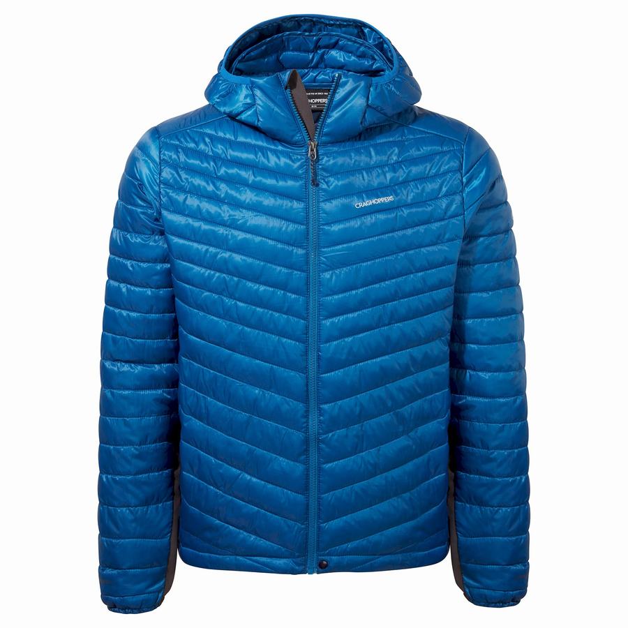 Vestes Craghoppers ExpoLite Insulated Encapuchonné Bleu Homme | YUA-1003676