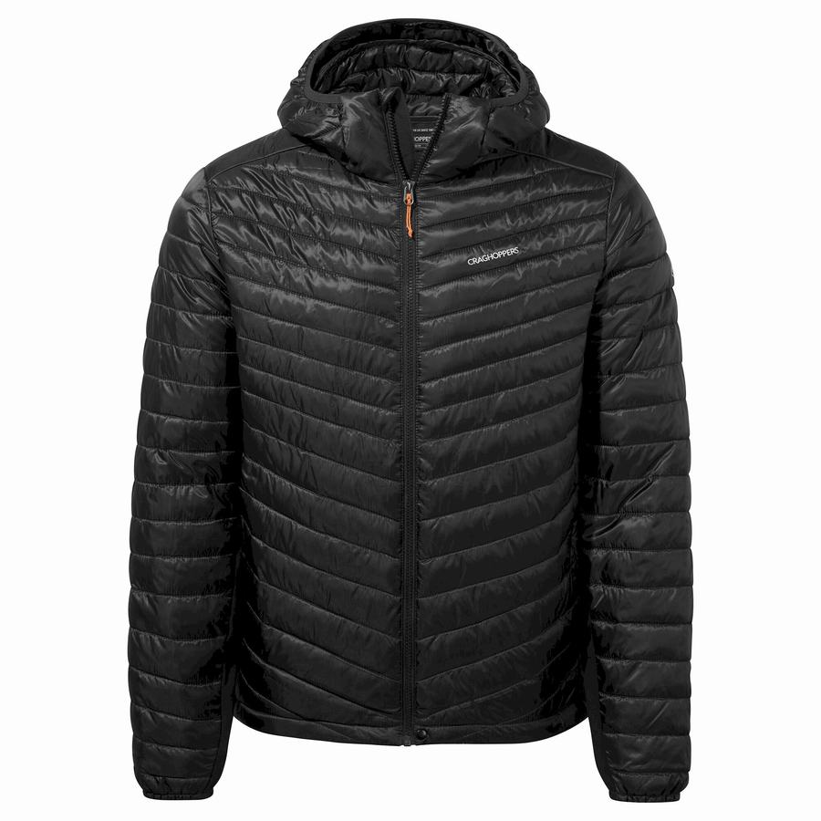 Vestes Craghoppers ExpoLite Insulated Encapuchonné Noir Homme | FCO-6914627