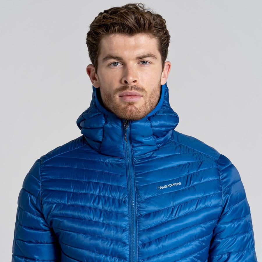 Vestes Craghoppers ExpoLite Insulated Encapuchonné Bleu Homme | YUA-1003676