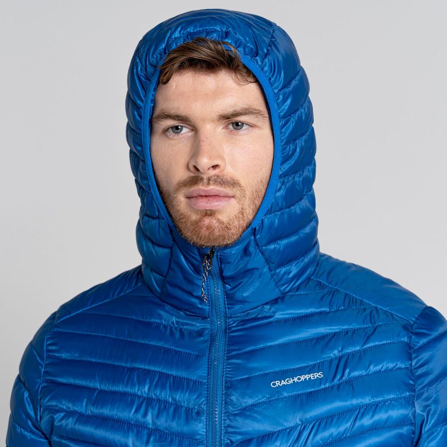 Vestes Craghoppers ExpoLite Insulated Encapuchonné Bleu Homme | YUA-1003676