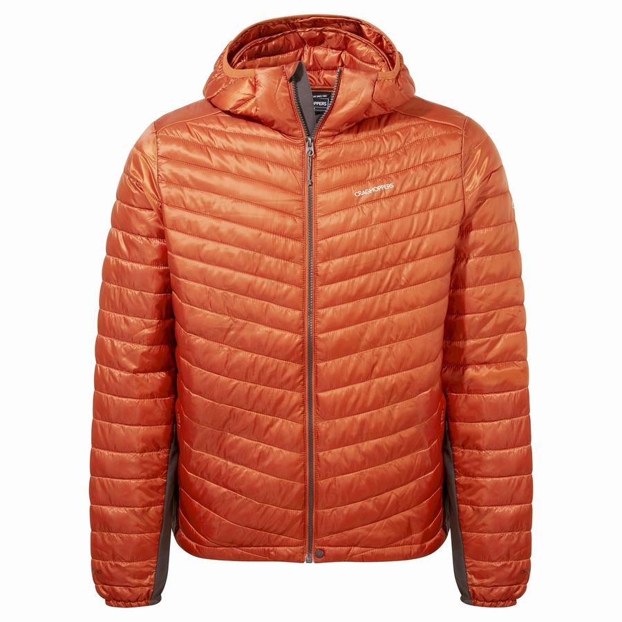 Vestes Craghoppers ExpoLite Insulated Encapuchonné Orange Homme | TZF-6748599