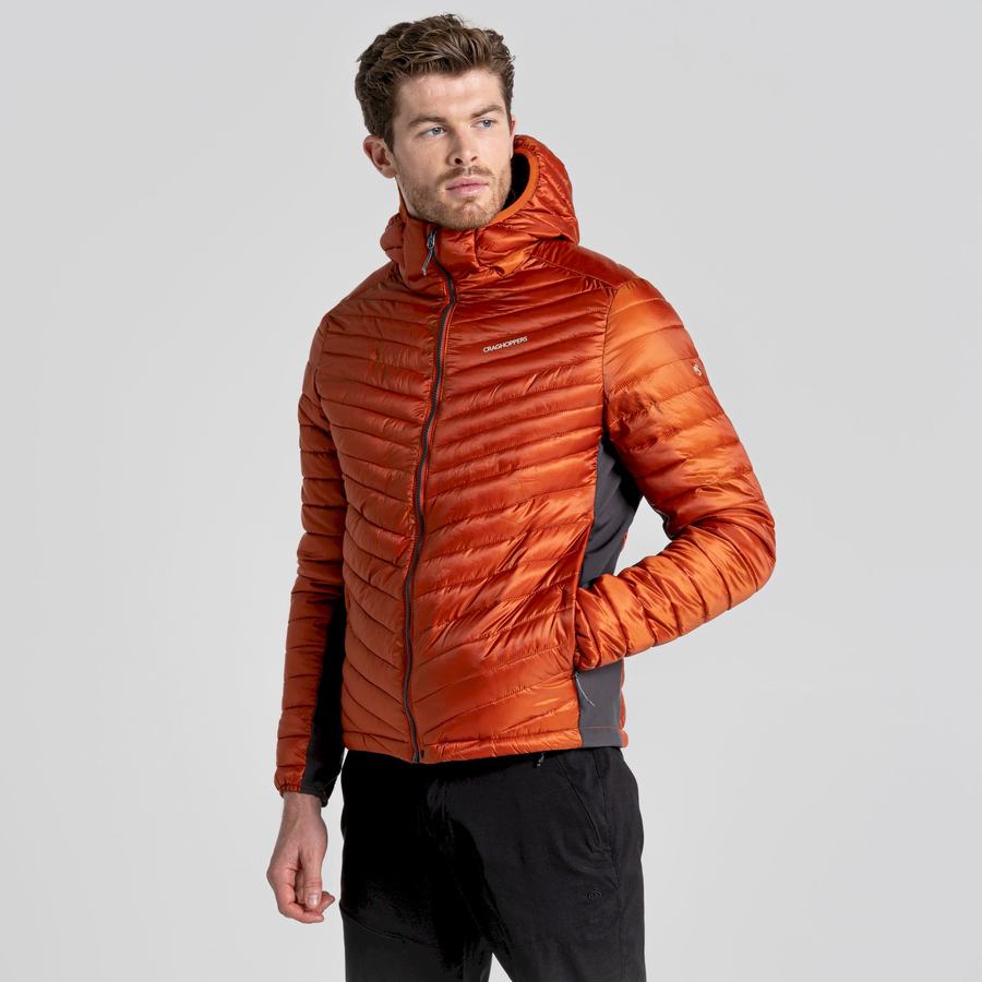 Vestes Craghoppers ExpoLite Insulated Encapuchonné Orange Homme | TZF-6748599