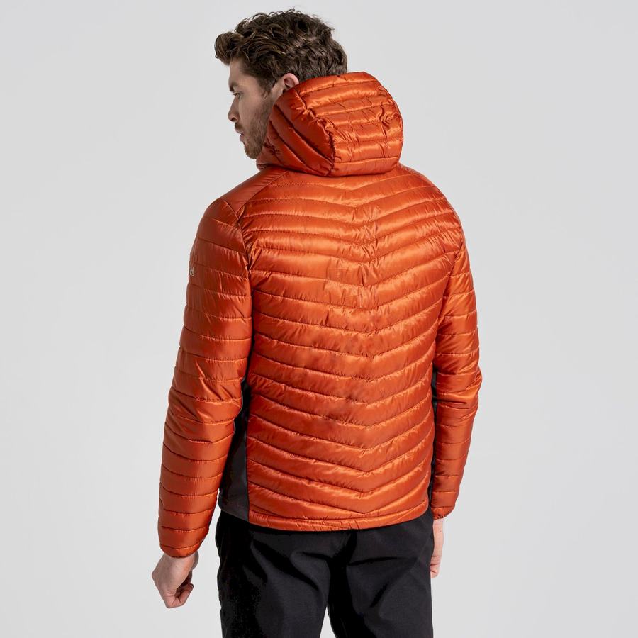 Vestes Craghoppers ExpoLite Insulated Encapuchonné Orange Homme | TZF-6748599