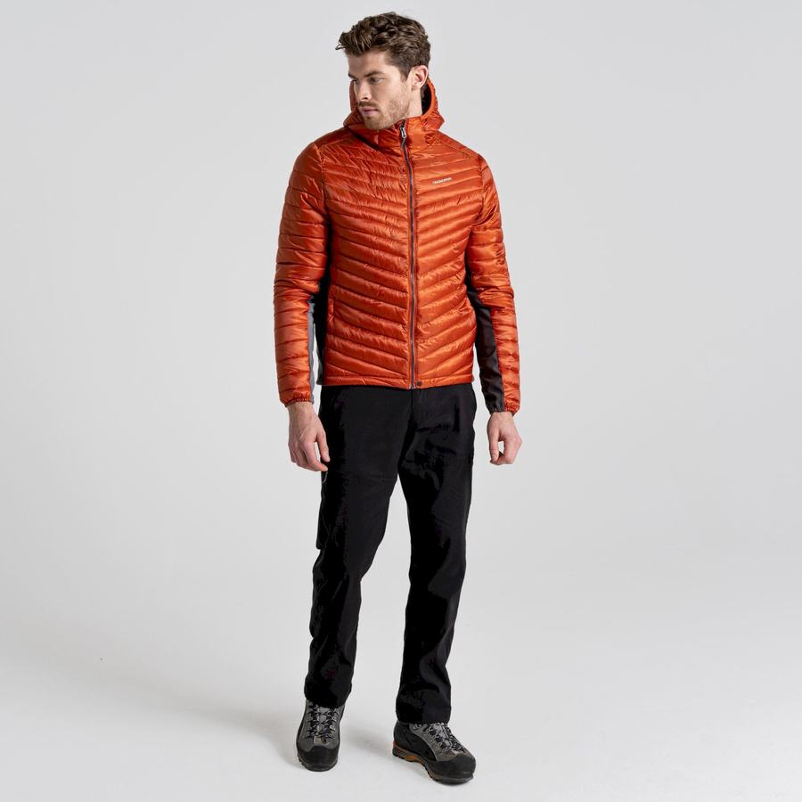 Vestes Craghoppers ExpoLite Insulated Encapuchonné Orange Homme | TZF-6748599