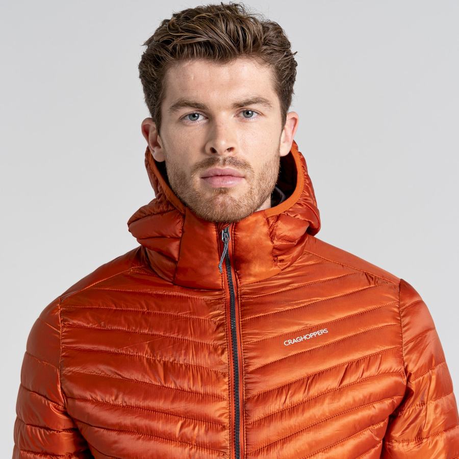 Vestes Craghoppers ExpoLite Insulated Encapuchonné Orange Homme | TZF-6748599