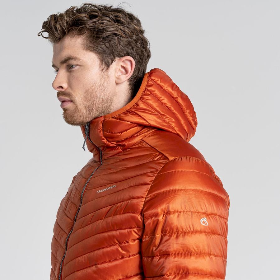 Vestes Craghoppers ExpoLite Insulated Encapuchonné Orange Homme | TZF-6748599