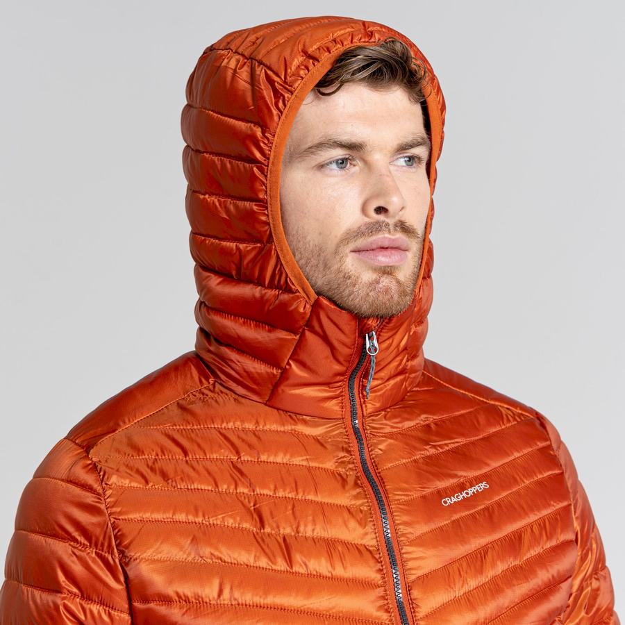 Vestes Craghoppers ExpoLite Insulated Encapuchonné Orange Homme | TZF-6748599