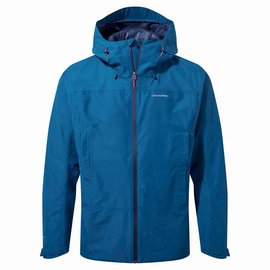 Vestes Craghoppers Creevey Bleu Marine Bleu Homme | VOQ-3277809