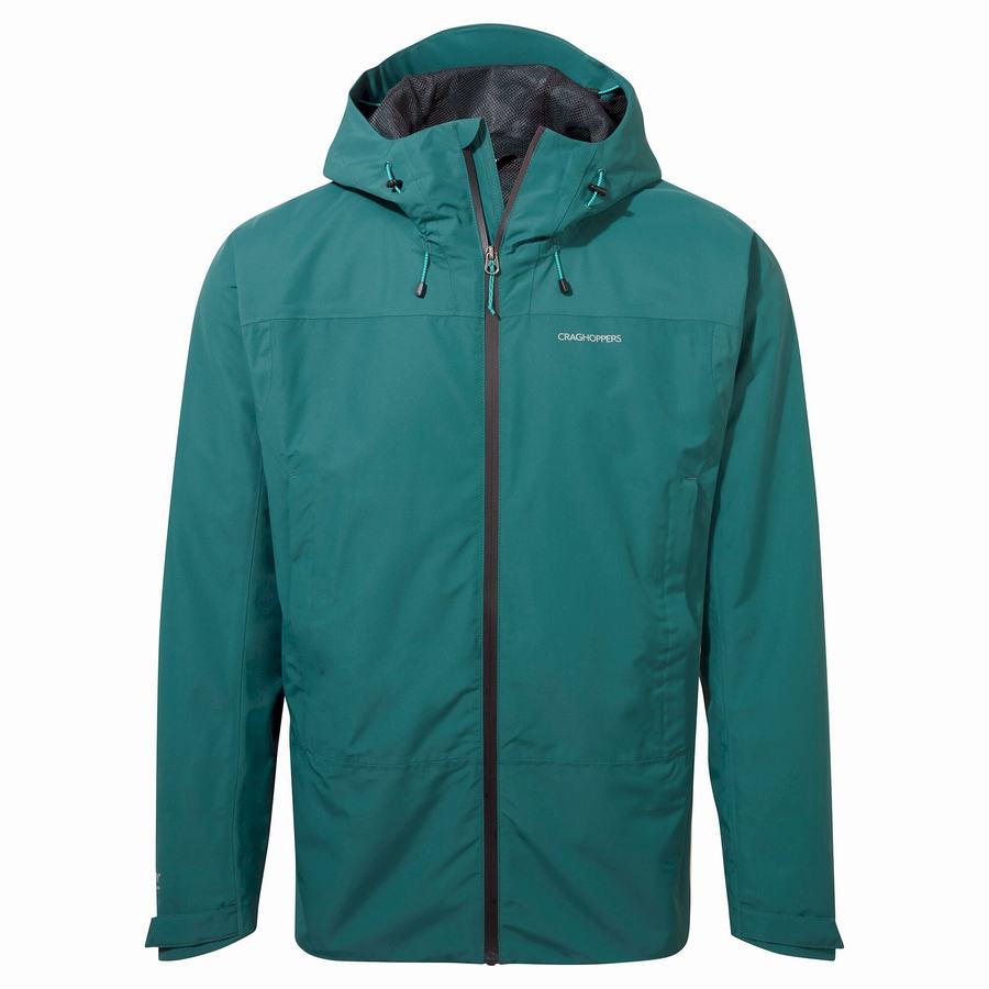 Vestes Craghoppers Creevey Vert Homme | WAL-3203198