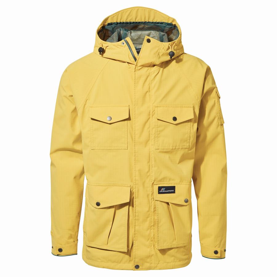 Vestes Craghoppers Canyon Jaune Homme | REH-1821181