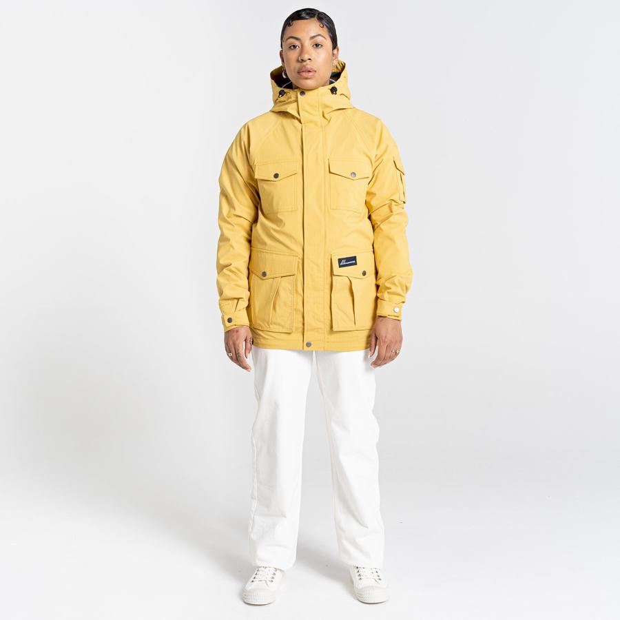 Vestes Craghoppers Canyon Jaune Homme | REH-1821181