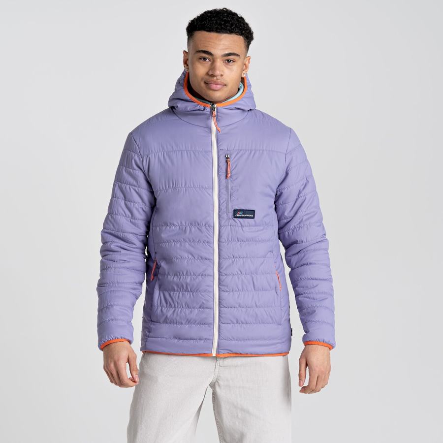 Vestes Craghoppers Cameo CompressLite Encapuchonné Violette Homme | WXU-8616947